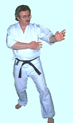 Picture of Bob in fighting stance.